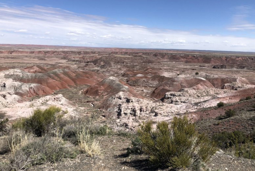 LAND LOT PARCEL SCENIC FLAT PROPERTY ARIZONA AZ Holbrook Navajo FULL PRICE