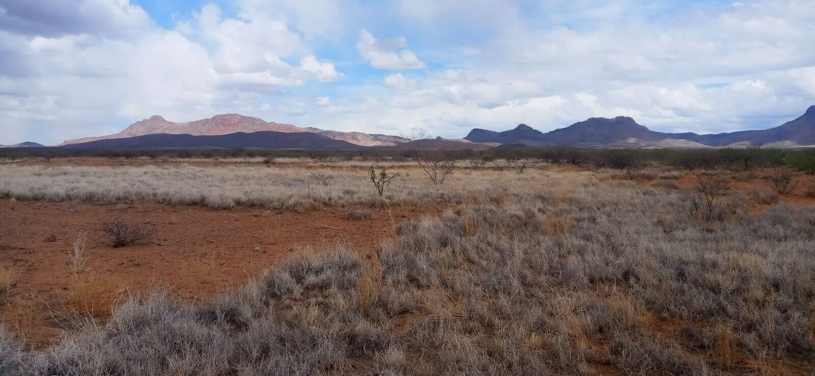 14,993 SQ. FT. RESIDENTIAL LAND IN COCHISE COUNTY, ARIZONA – HIGH BID WINS!