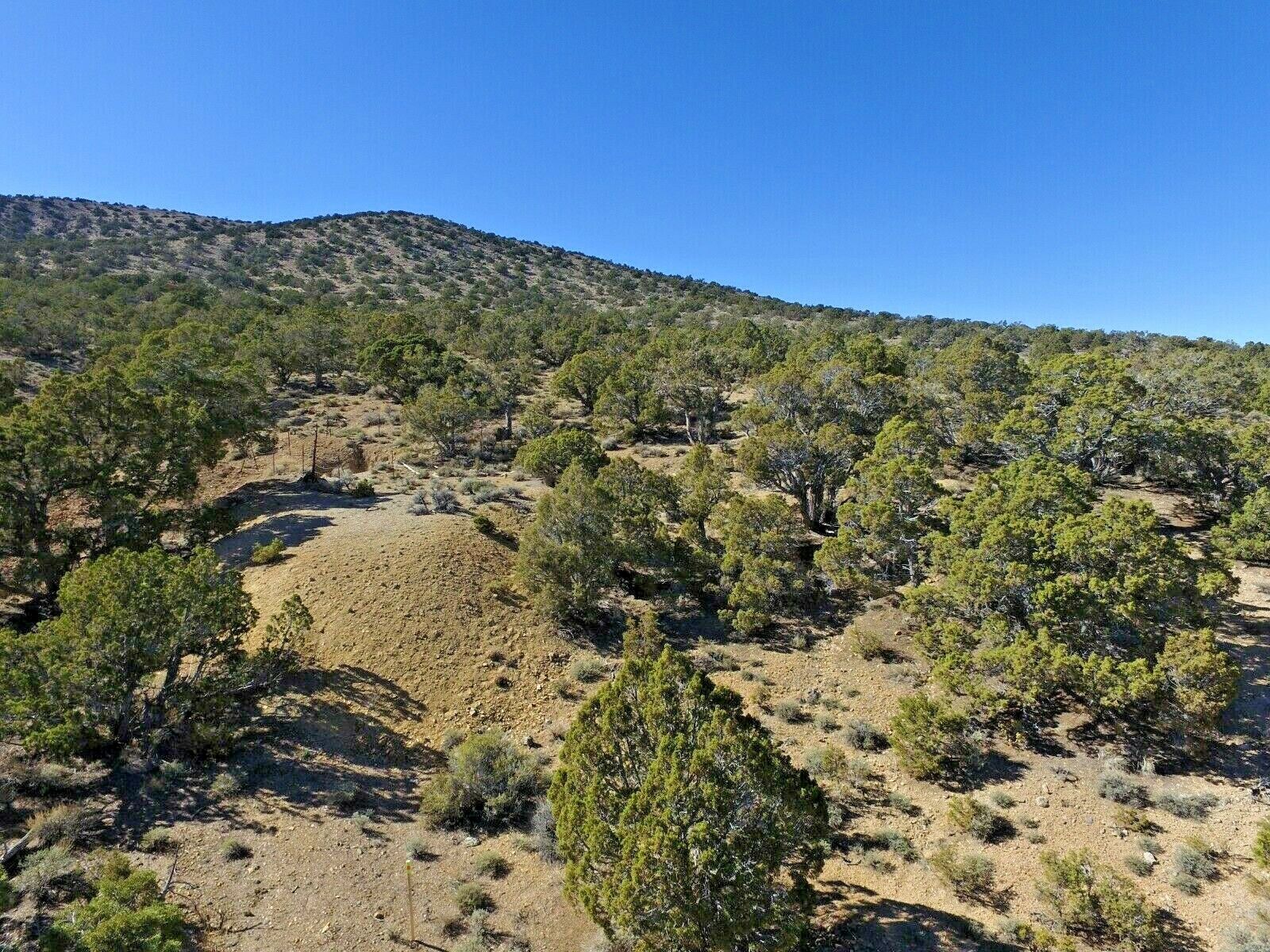 Nevada Gold Silver Mine Historic Pilot Mining Claim Adit Shaft Pit NV Au