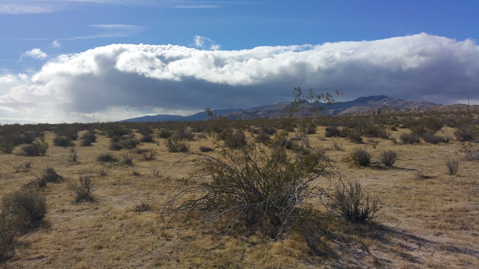 California Land For Sale – TWO Level Adjoining Lots Paved Road  Cantil, CA