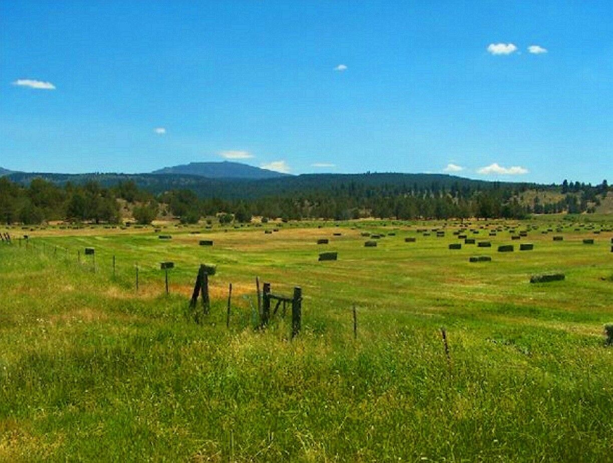 WILDERNESS	 PROPERTY MODOC COUNTY