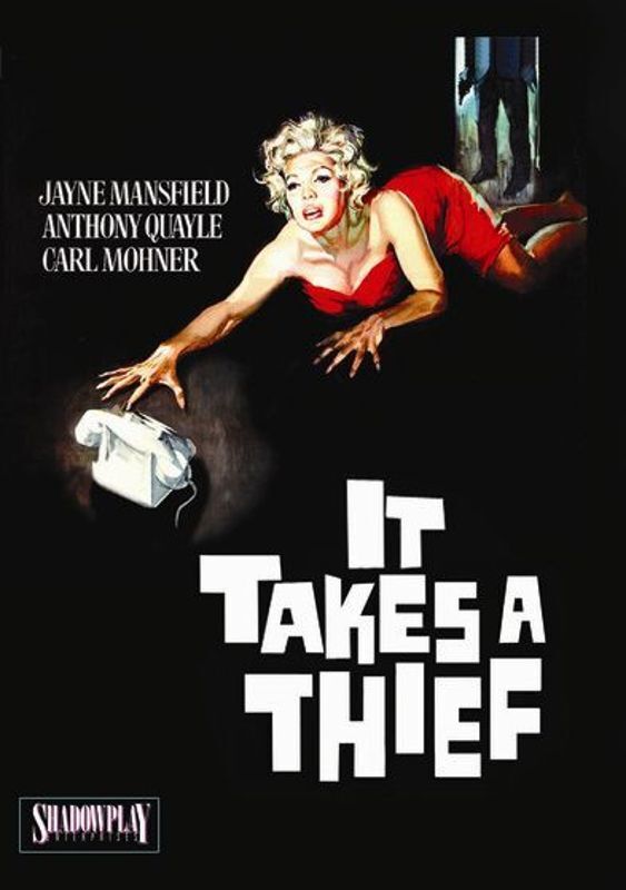 IT TAKES A THIEF