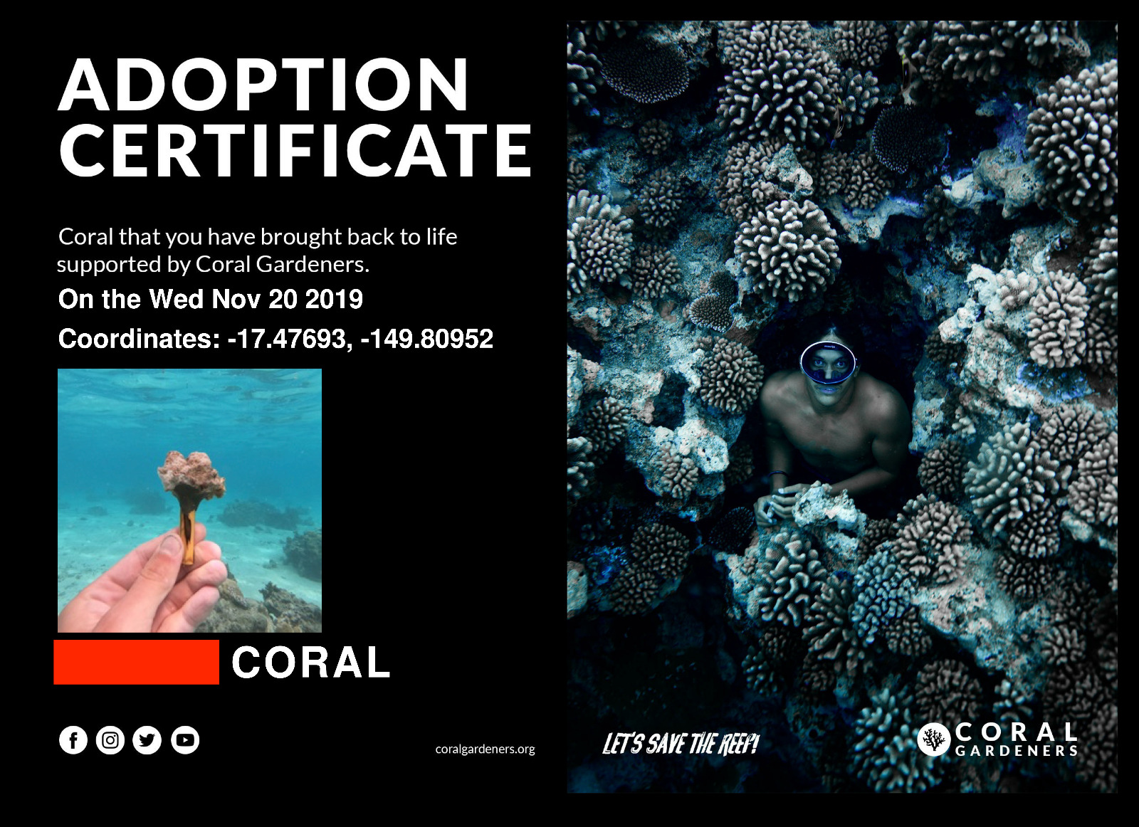 Coral Reef Property