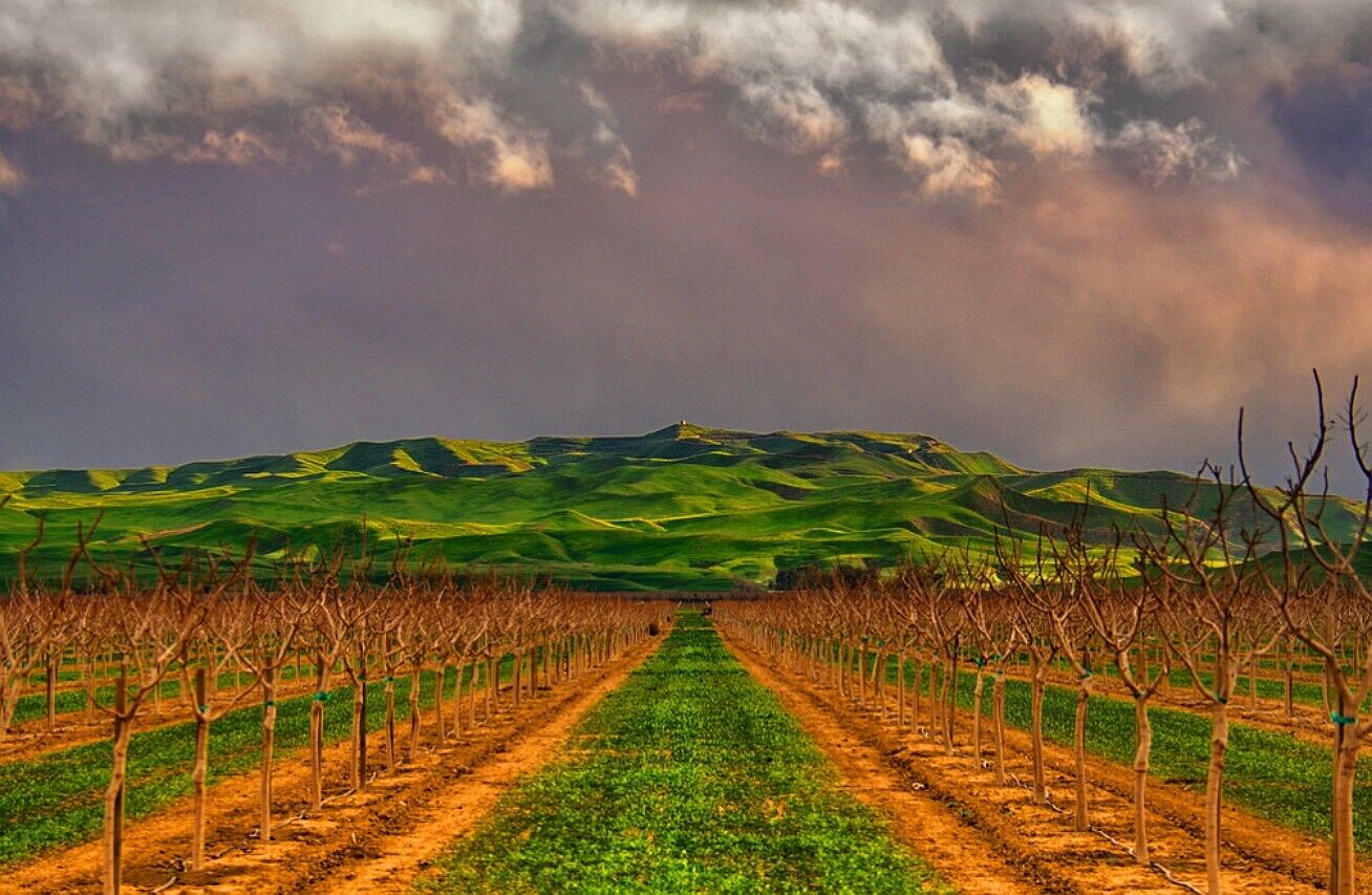 Agricultural plot Kettleman City, Ca. Kings COUNTY