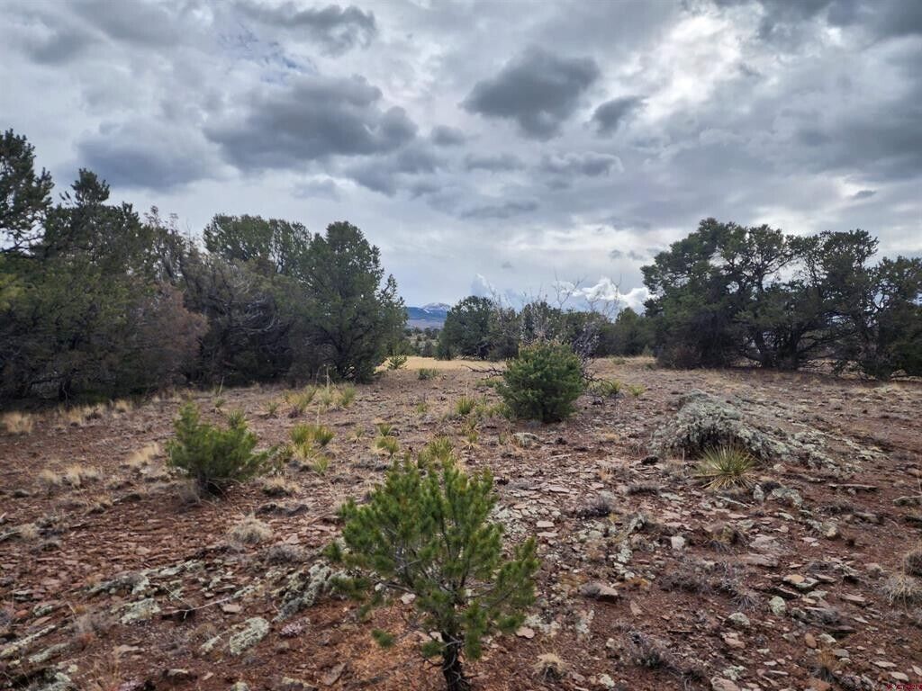 0.61 Acre Lot in Rio Grande County, CO – Stunning 360° Mountain Views, No HOA