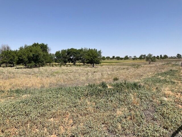 40 Acres for sale Anton, TX