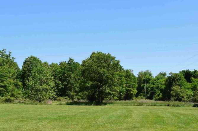 Farmland Lot 42 Austin Grove Rd, Bluemont, VA 20135 For Sale! 2,000