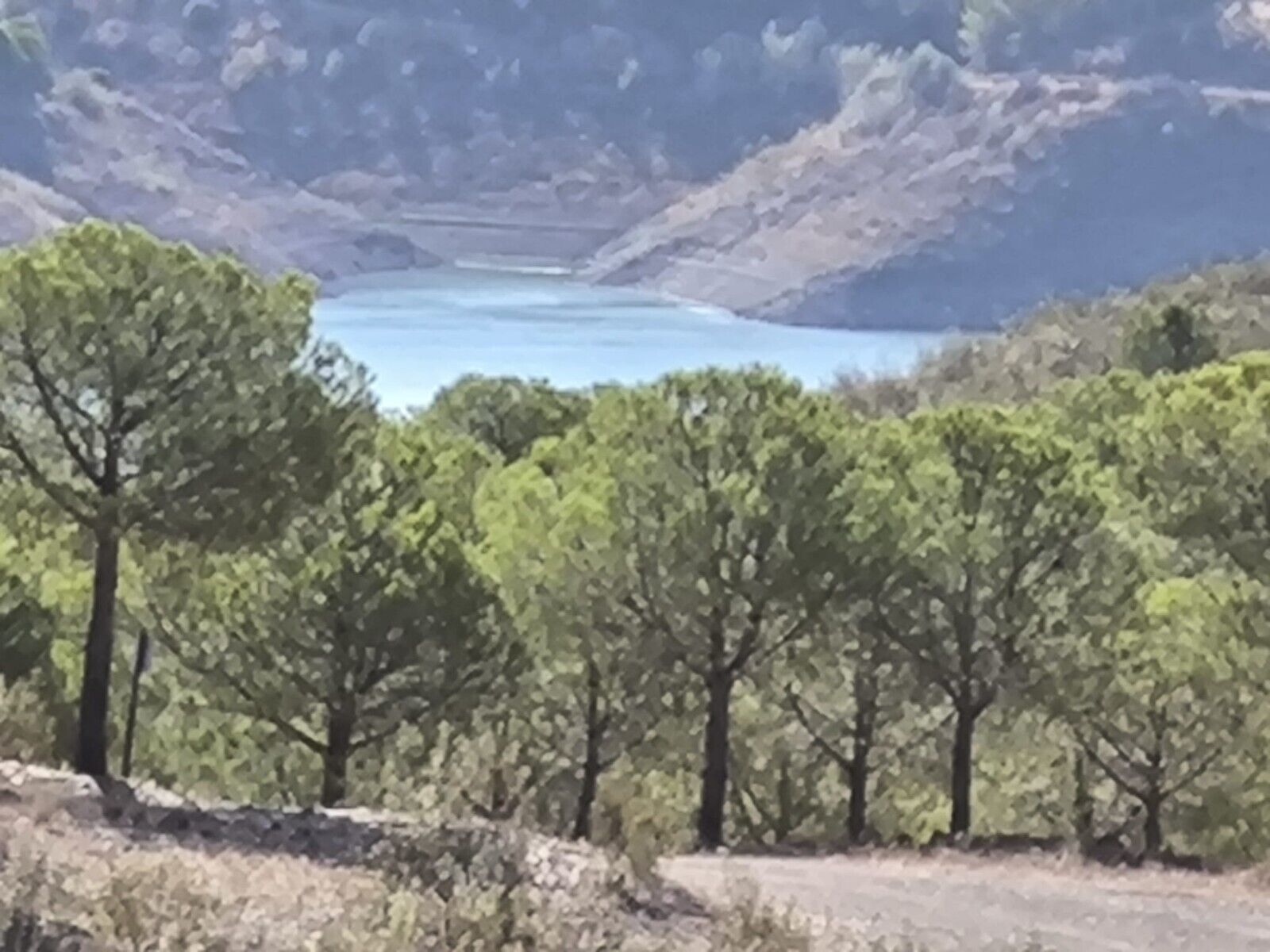 QUINTA – FARM – COM 59080 M2 PARA CONSTRUÇÃO DE MORADIA E TURISMO – CASTRO MARIM
