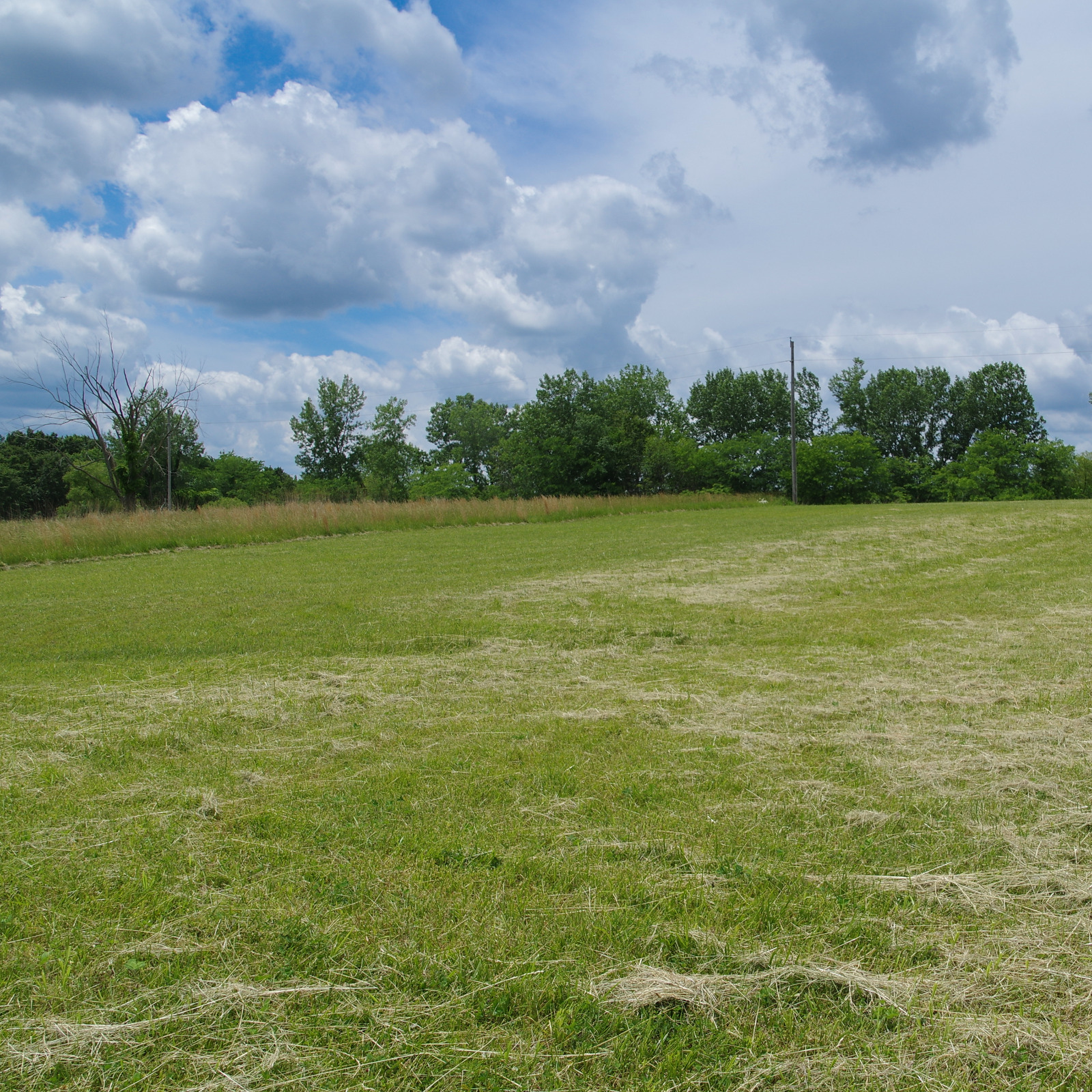 Flat, Easy-to-Build Lake Viking Lot near Gallatin, Kansas City in NW Missouri