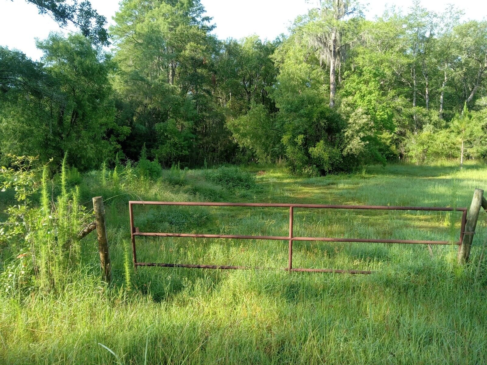 Improved Vacant Land in FLORIDA Near Many Beaches in FL Panhandle!