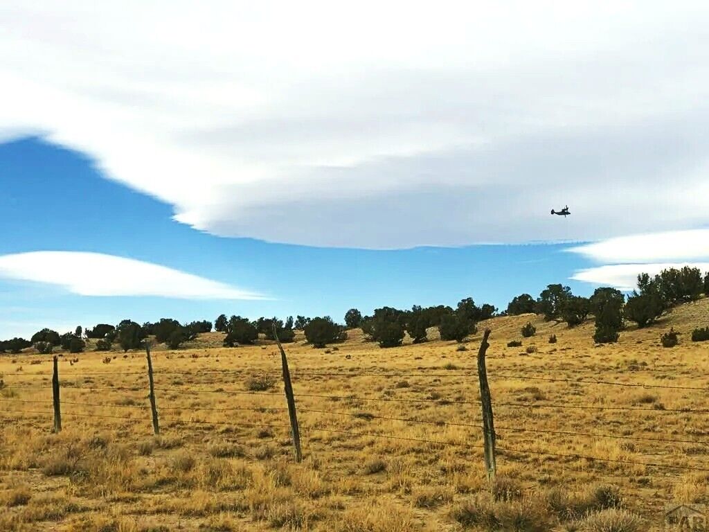 40 Acres of Recreational Land in Colorado [Owner Financing Available]