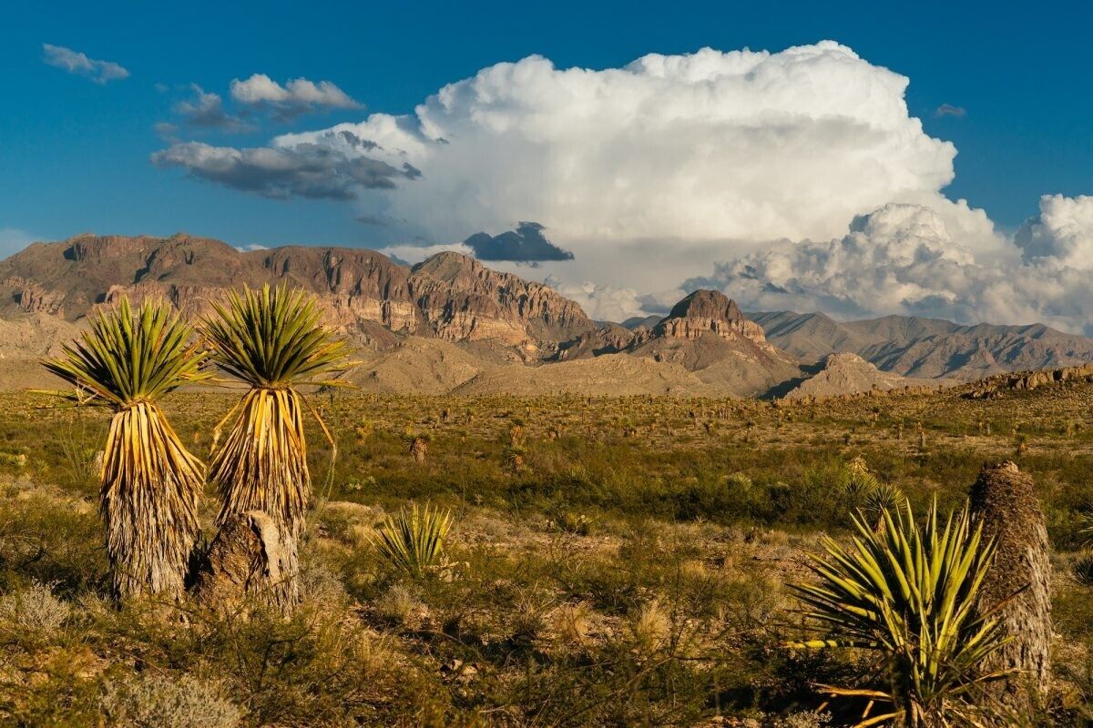 Breathtaking Guadalupe Mountain 10+ Acre Undivided Interest in 670-Acre Section