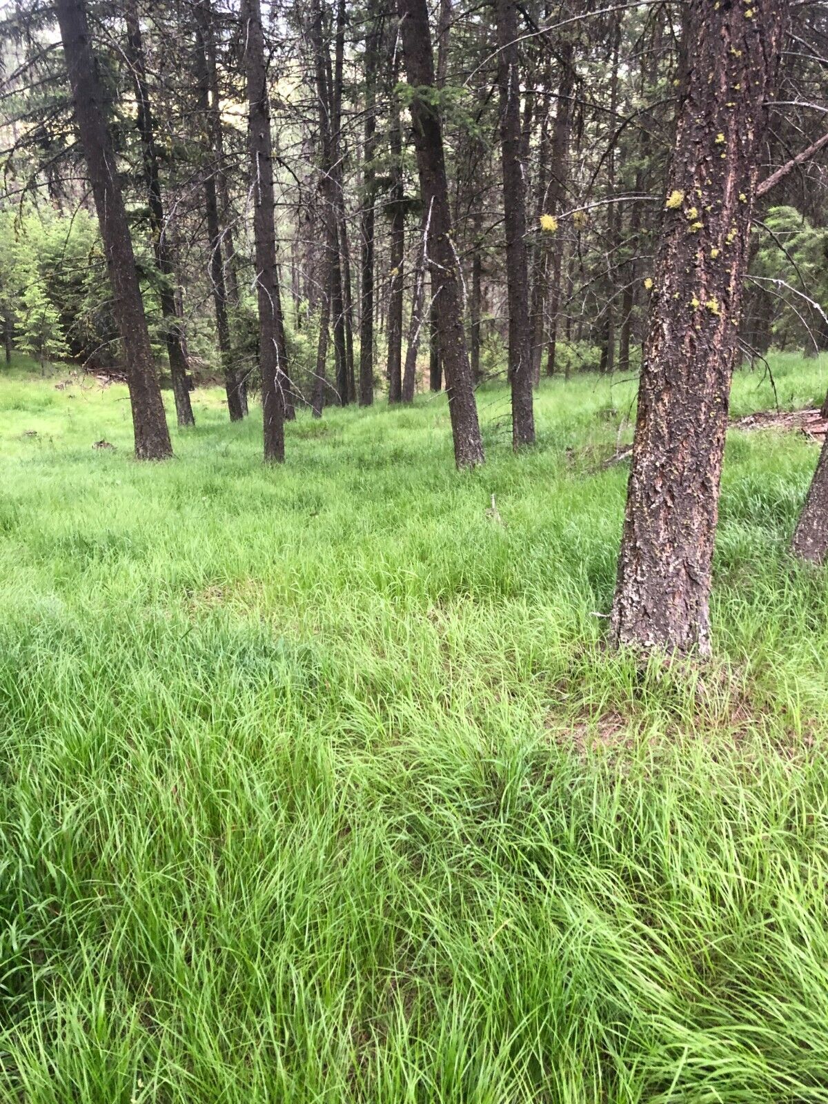 vacant land Washington
