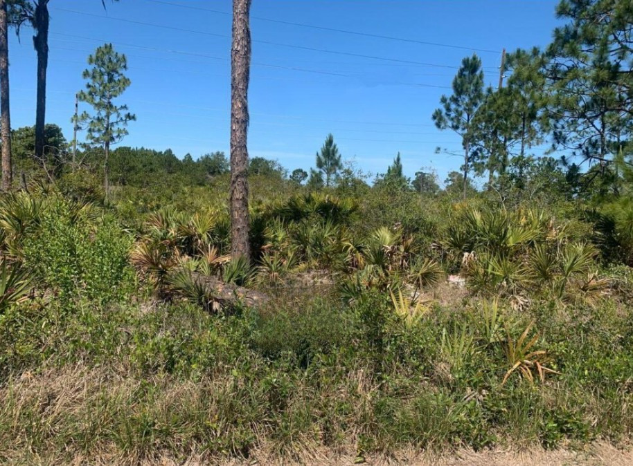 Florida 0.25 acre(LAKE PLACID) 00 DOWN! lot Vacant Residential Low Finance