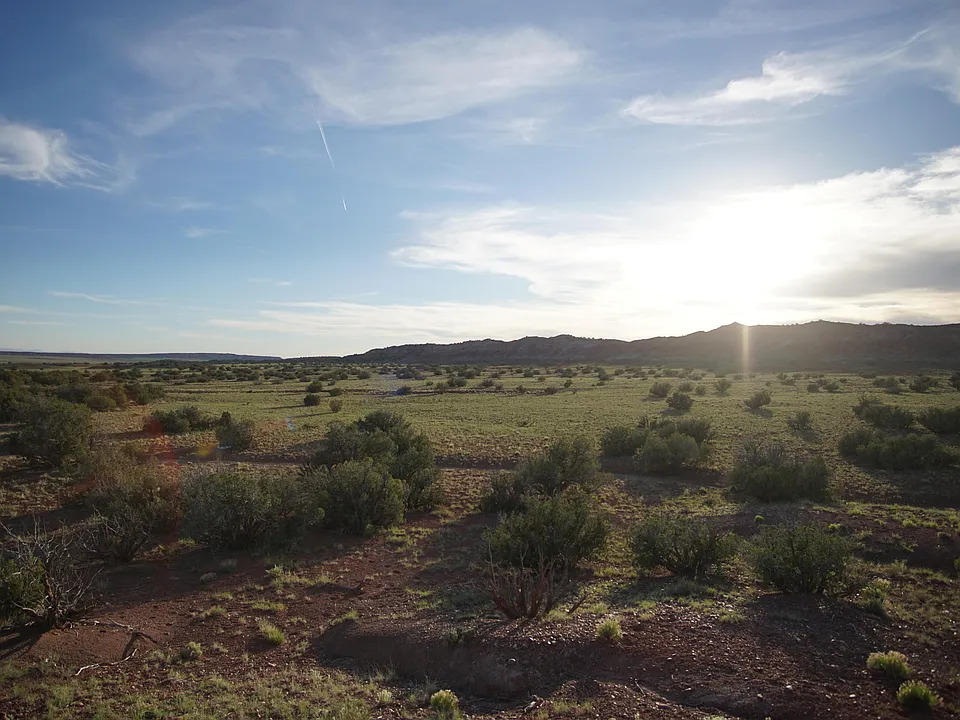 land for sale AZ