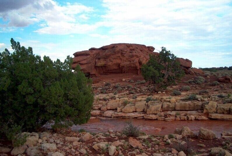 40 AC RANCH COCONINO COUNTY, AZ