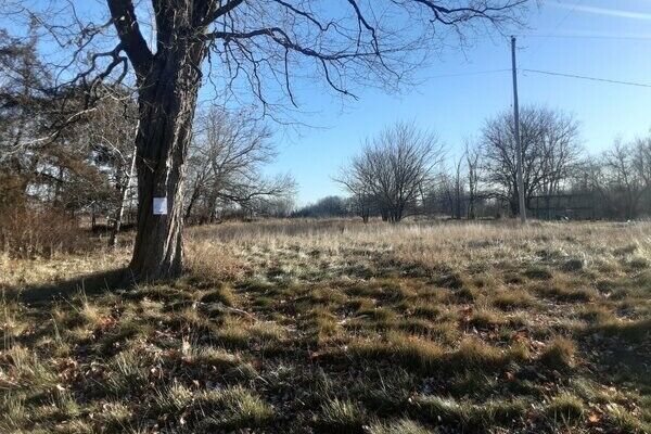 Beautiful Area, Flat Lot! 1/2Ac on Chapin Rd near Elsie MICHIGAN Buildable LAND!