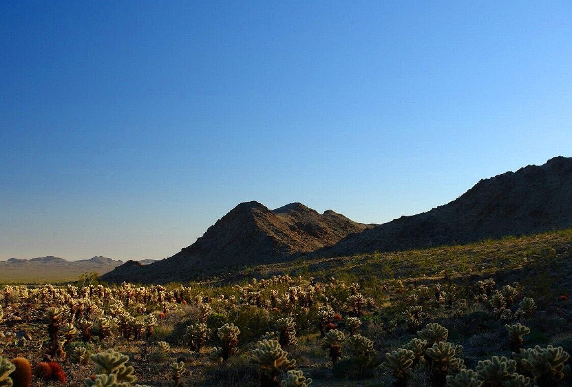 2.5 ACRES RANCH Riverside County, CA.