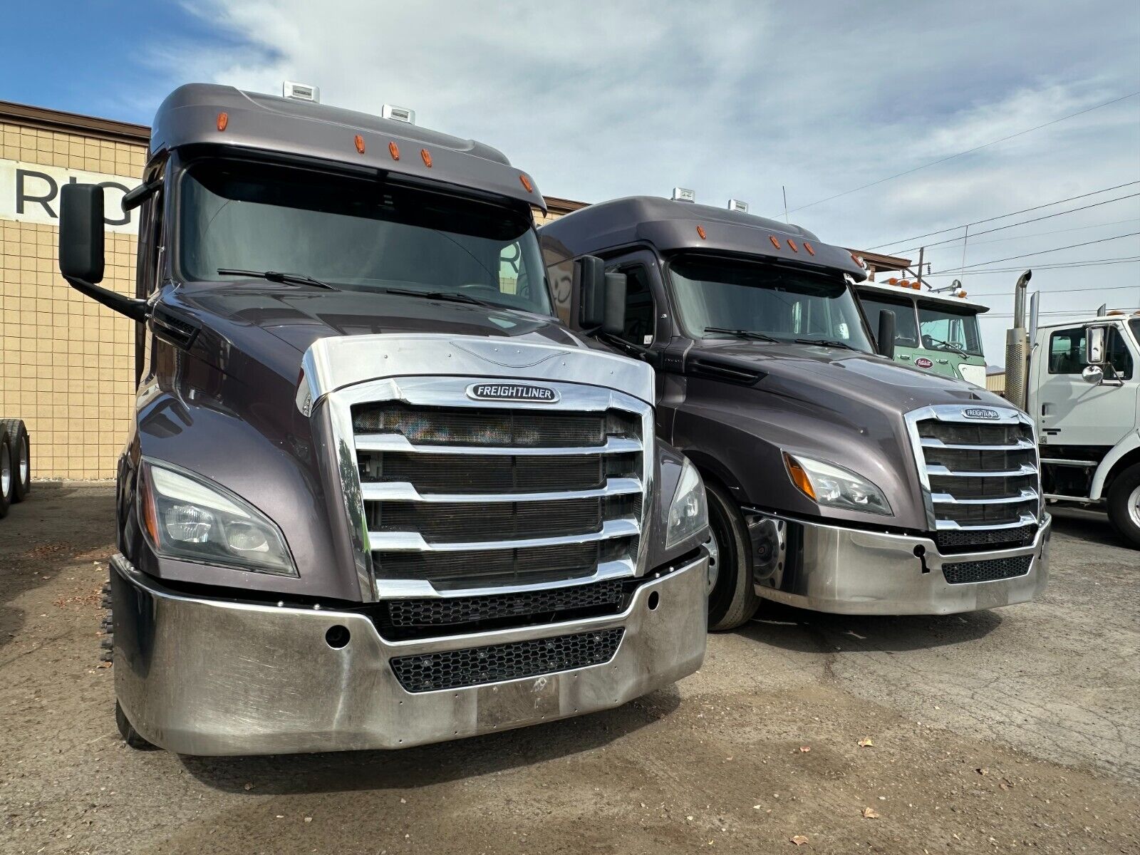 2021 Freightliner Cascadia 126 Evo DD16