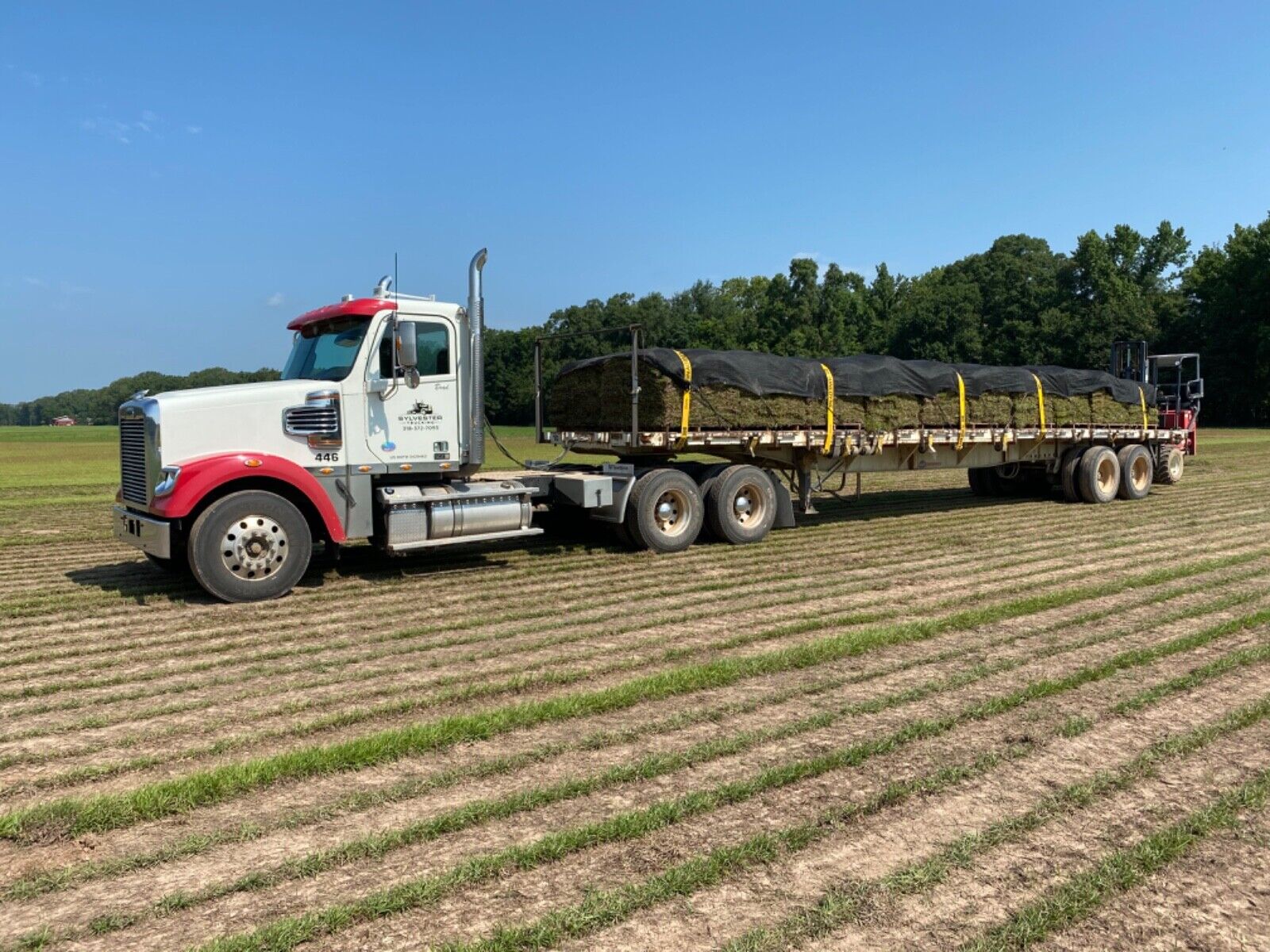 2015 Frieghtliner Coronado