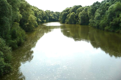 Selling Ondava River water for €20/Liter