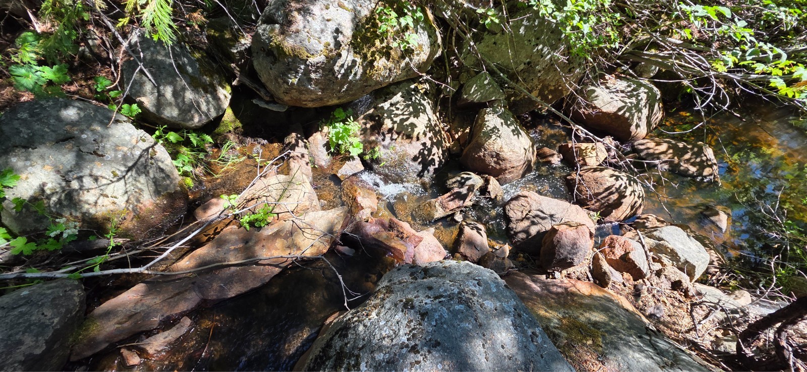 Up the Creek Placer – 20 Acre Gold Claim, Little Canyon Creek, Near Grass Valley