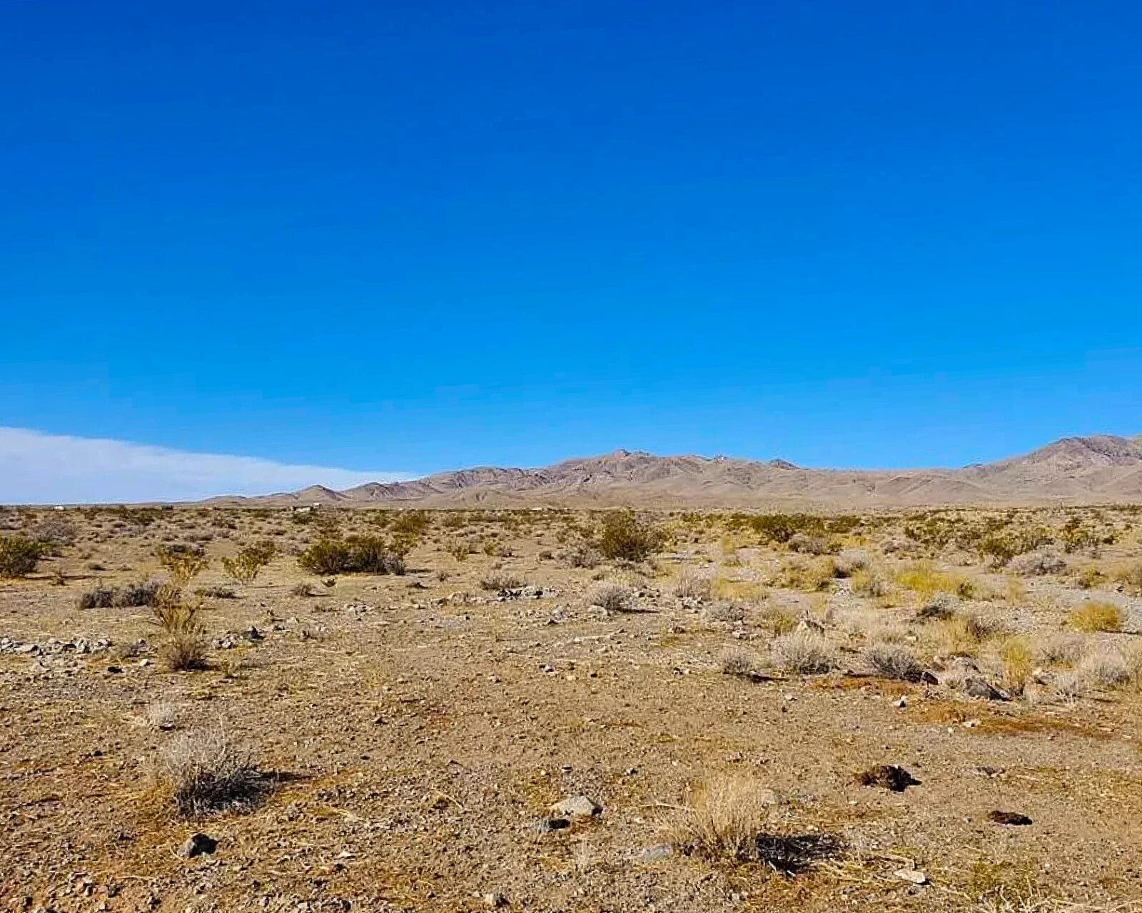 1.25 ACRE LOT IN NW ARIZONA! Owner Carry – JUST NORTH OF HWY-66! MOUNTAIN VIEWS!