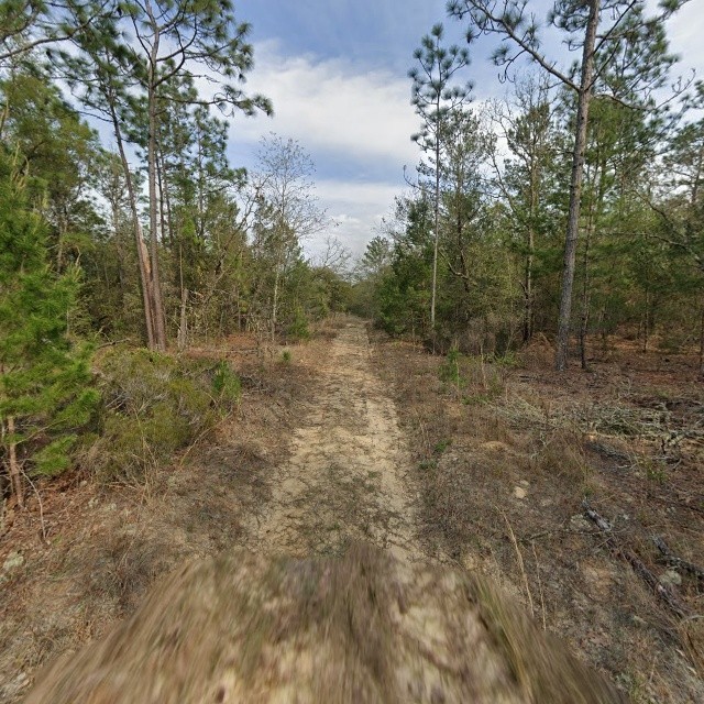 Lot in Twin Lakes Estates near Hart Lake (Interlachen)