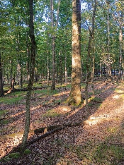(0.3 Acre) Vacant Lot For Sale On Chestnut Dr, Hazleton, PA. ,000