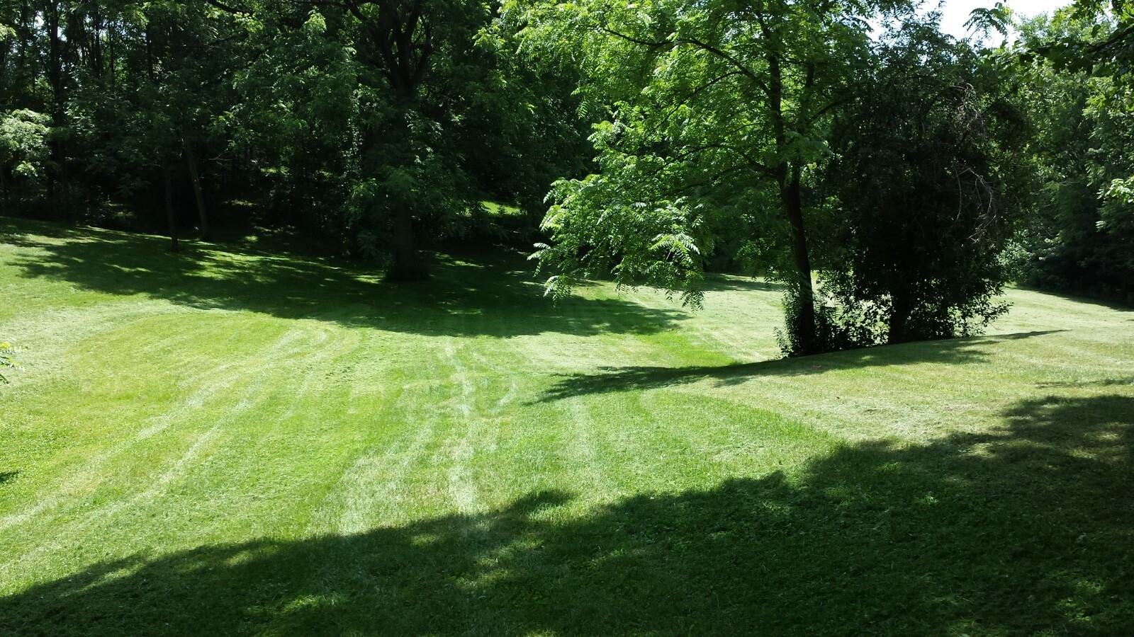 Aledo IL.  Land for Sale in town 6 lots totaling 4.9 Acre Includes pole building