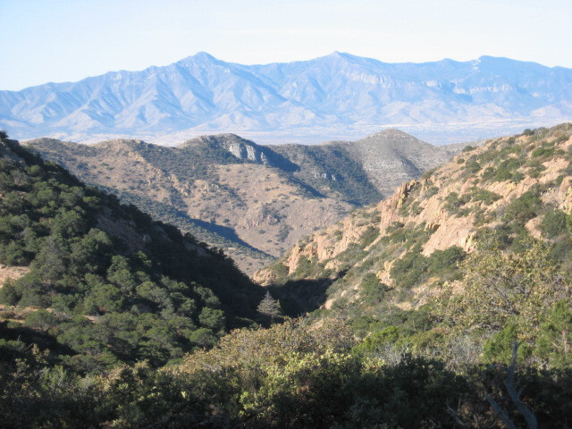 Arizona Land for Sale: 67+ Acre Parcel (Seller Carry back)