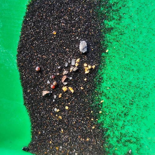 40 Acre Federal Gold & Turquoise Mining Claim – Jubilation #5