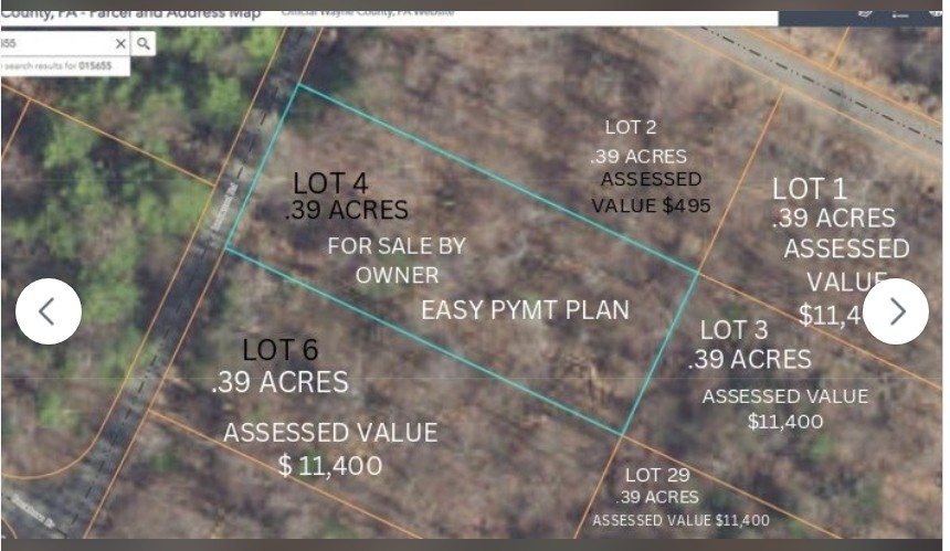 Lake Community Vacant Land 1/3 ACRE BUY BELOW VALUE PENNSYLVANIA POCONO SPRINGS