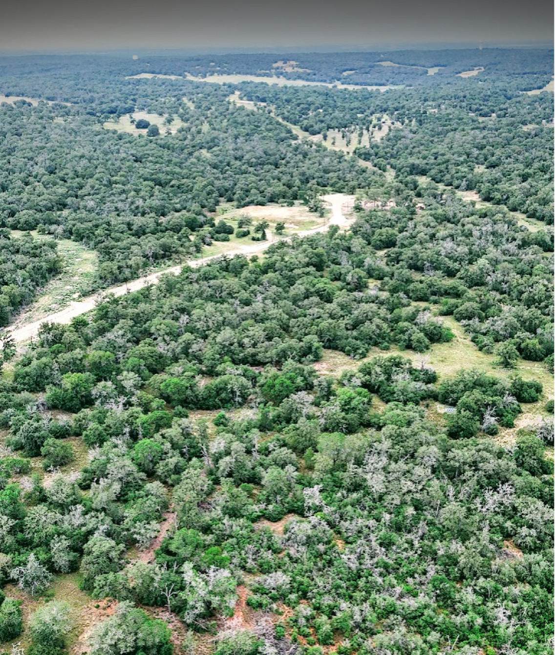 Texas Land For Sale | Tract 19  | 11.4 Acres | Seguin, TX