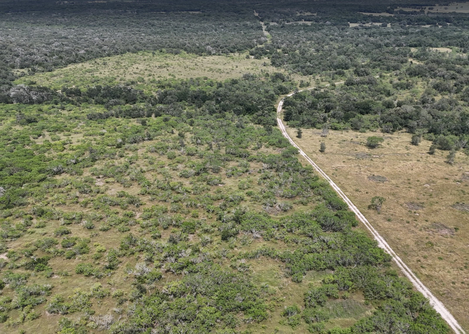 6 Acre Tract Available In Waelder Texas Lot 1 or 2