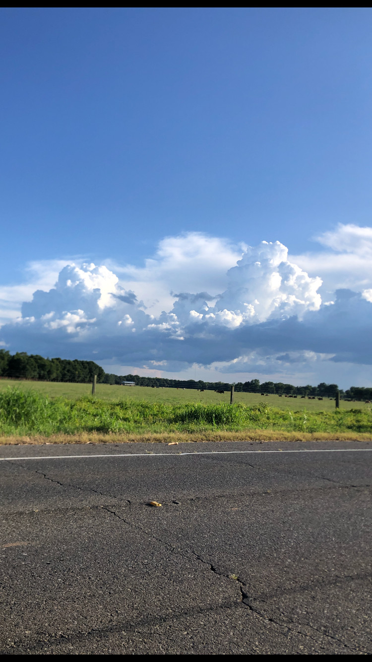 Land for sale in Ringgold Louisiana 7.863