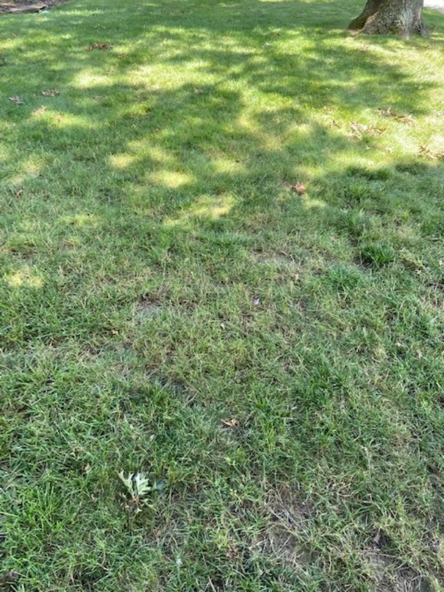 Brooklyn, Vacant Land Lots For Sale in New York City and elsewhere