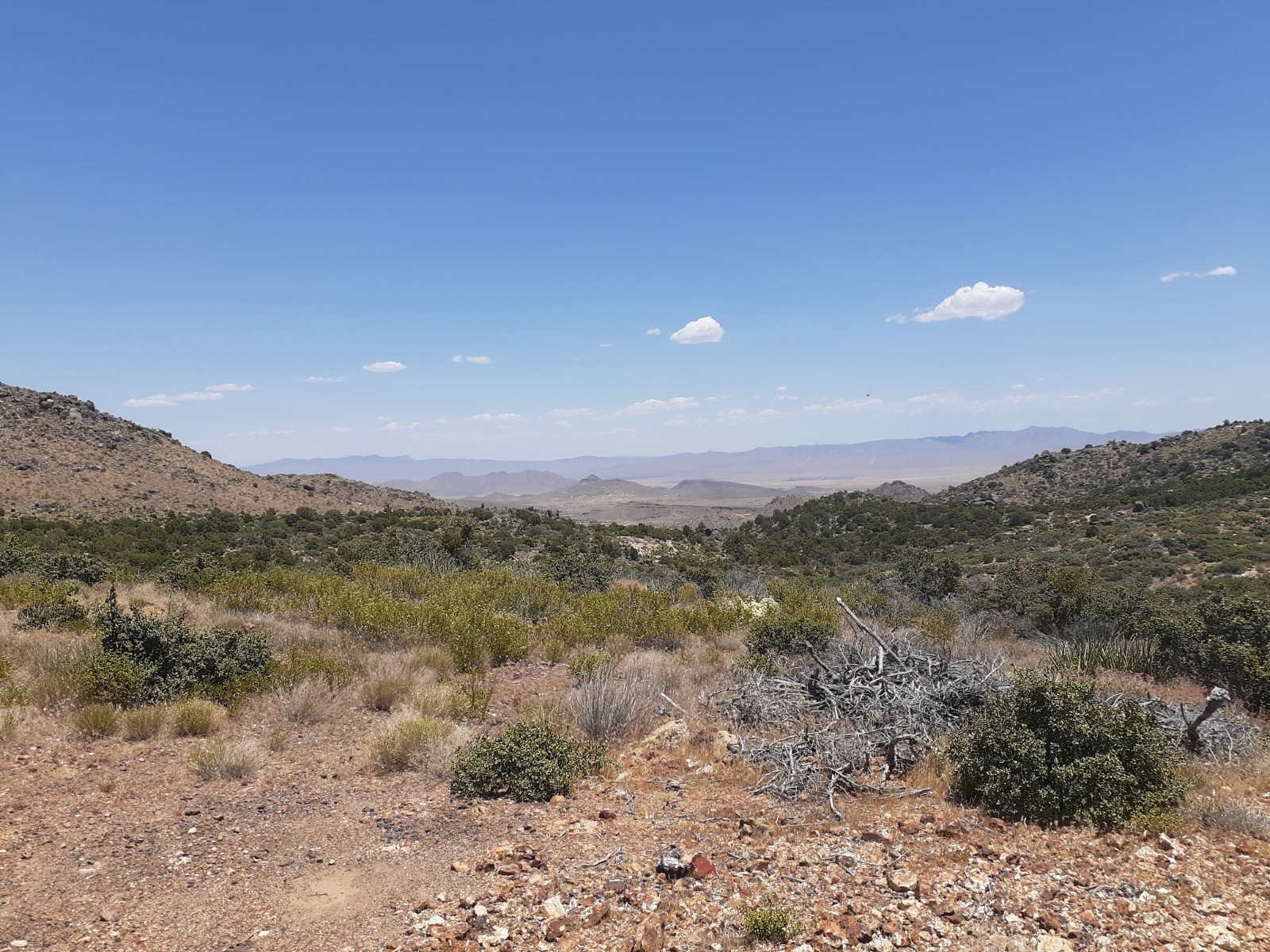 20.66 acre Gold/Copper LODE mine in Cerbat Mountain Range, Kingman, AZ