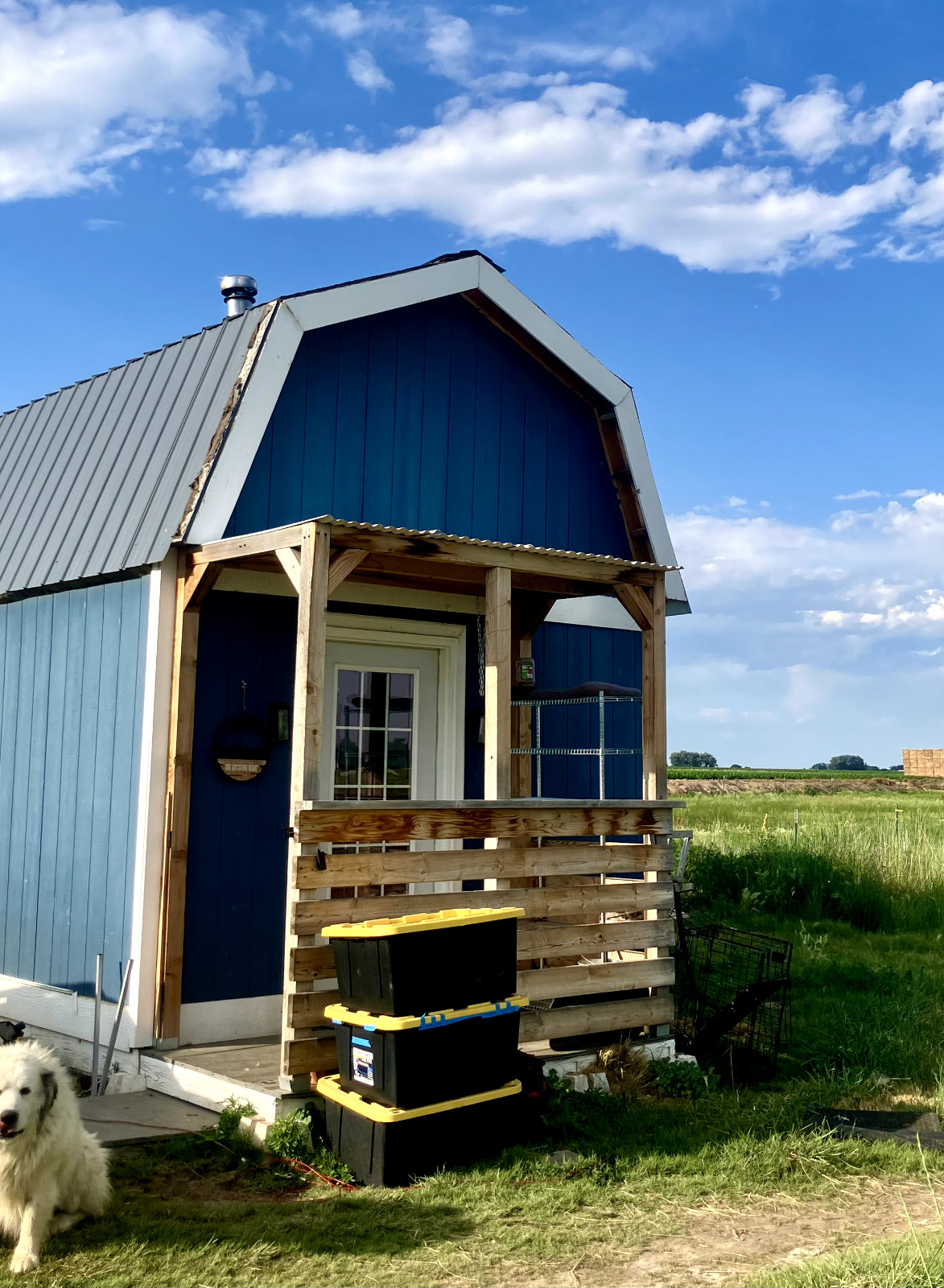 Tiny house for sale – on skids (12x24ft) 95% Finished, Blue, with small porch