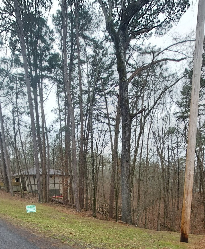 0.96 acre homesite Diamondhead Community