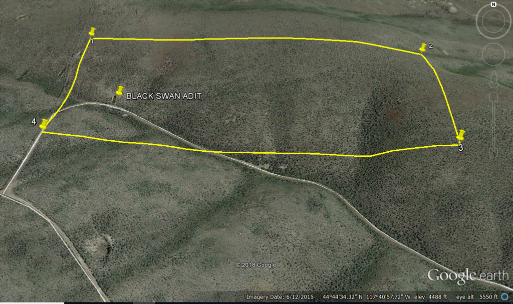 Black Swan Gold Mining Claim Historic Virtue Flats OR