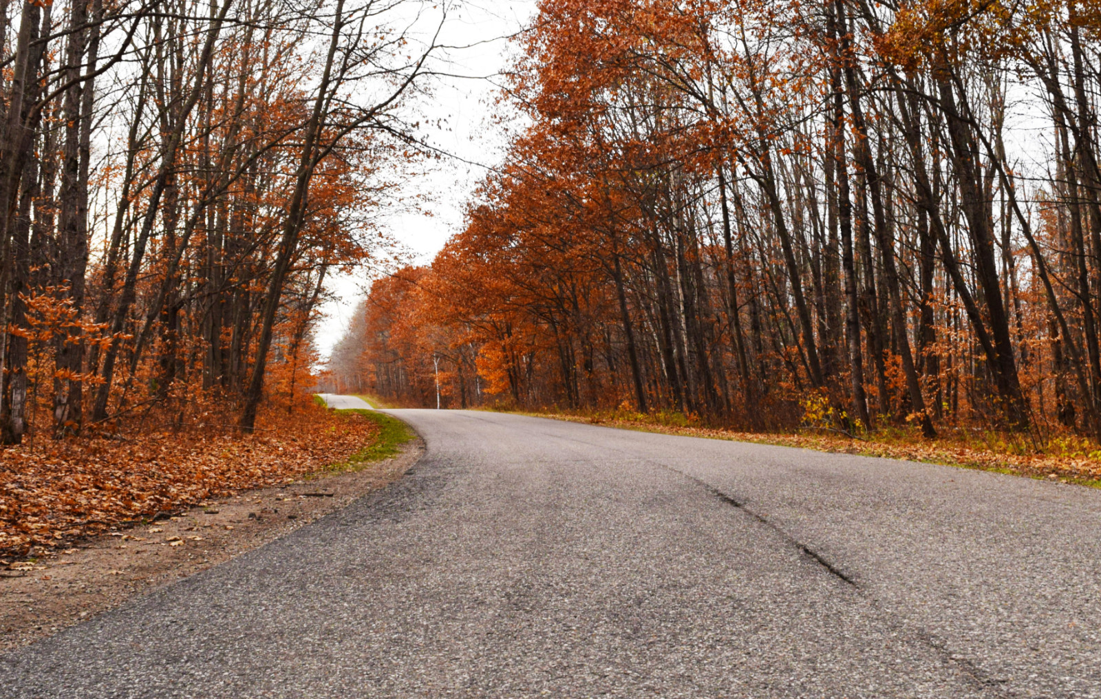 Mancelona Antrim County Michigan Payments Available Vacant Land Lot – .8 Acres