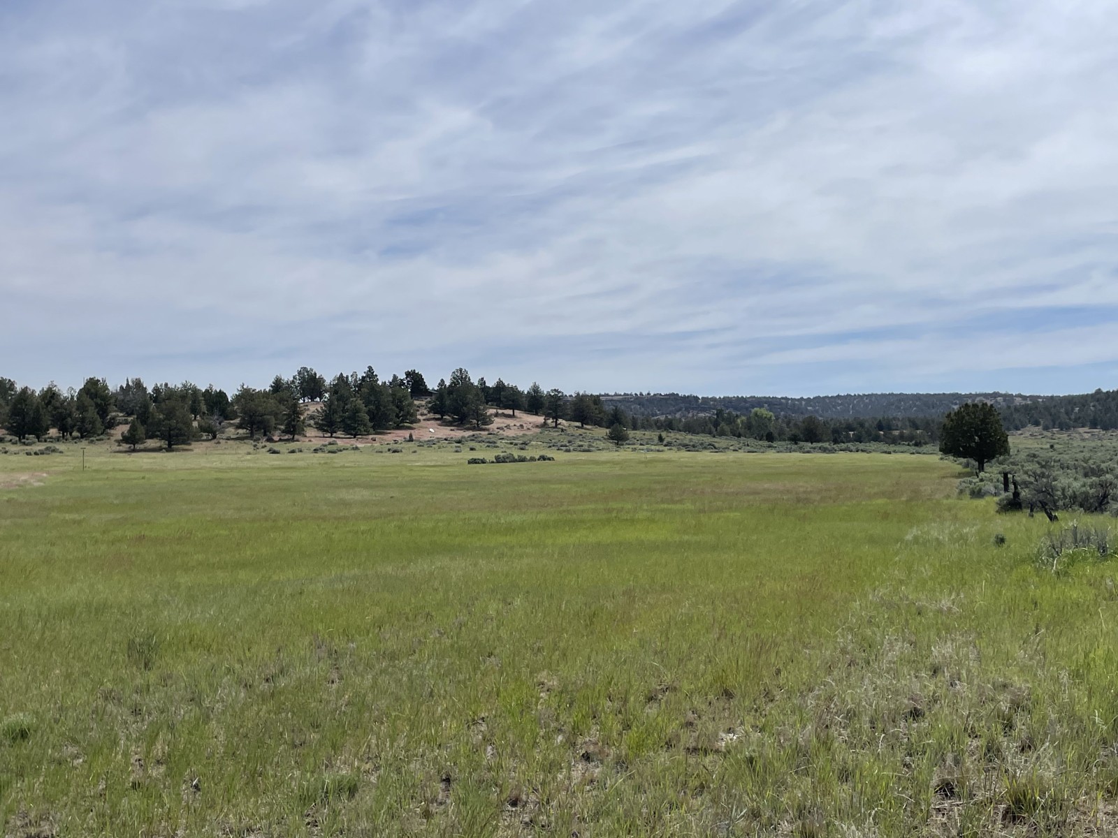 California Land Parcel For Sale .40 Acres, Level & With Electric, Water & Sewer!