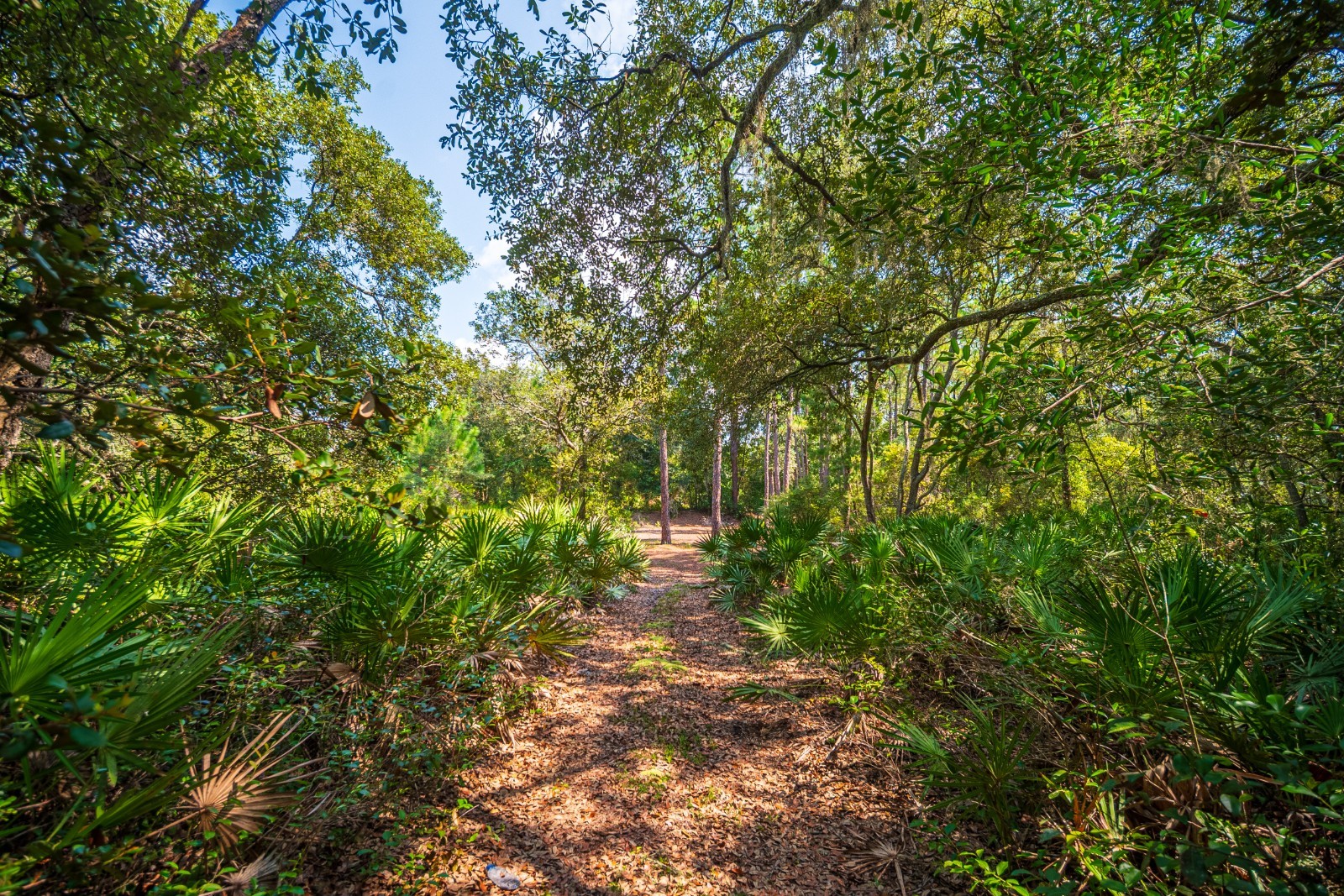 For Sale: Private Vacant Land .26 Acres Putnam County FL