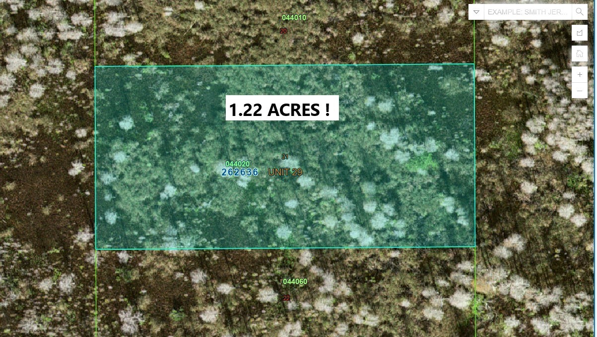 MAKE OFFER,  LAND, LOT  FLORIDA , ORLANDO, TAMPA , HUGE PROPERTY, BUY IT  NOW !