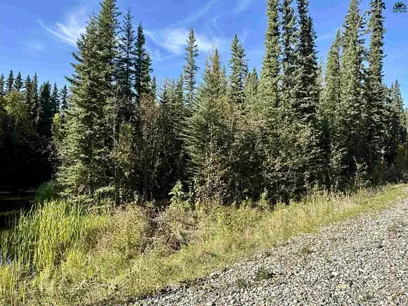 LAND FOR SALE IN NORTH WEST  OF FAIRBANKS ALASKA