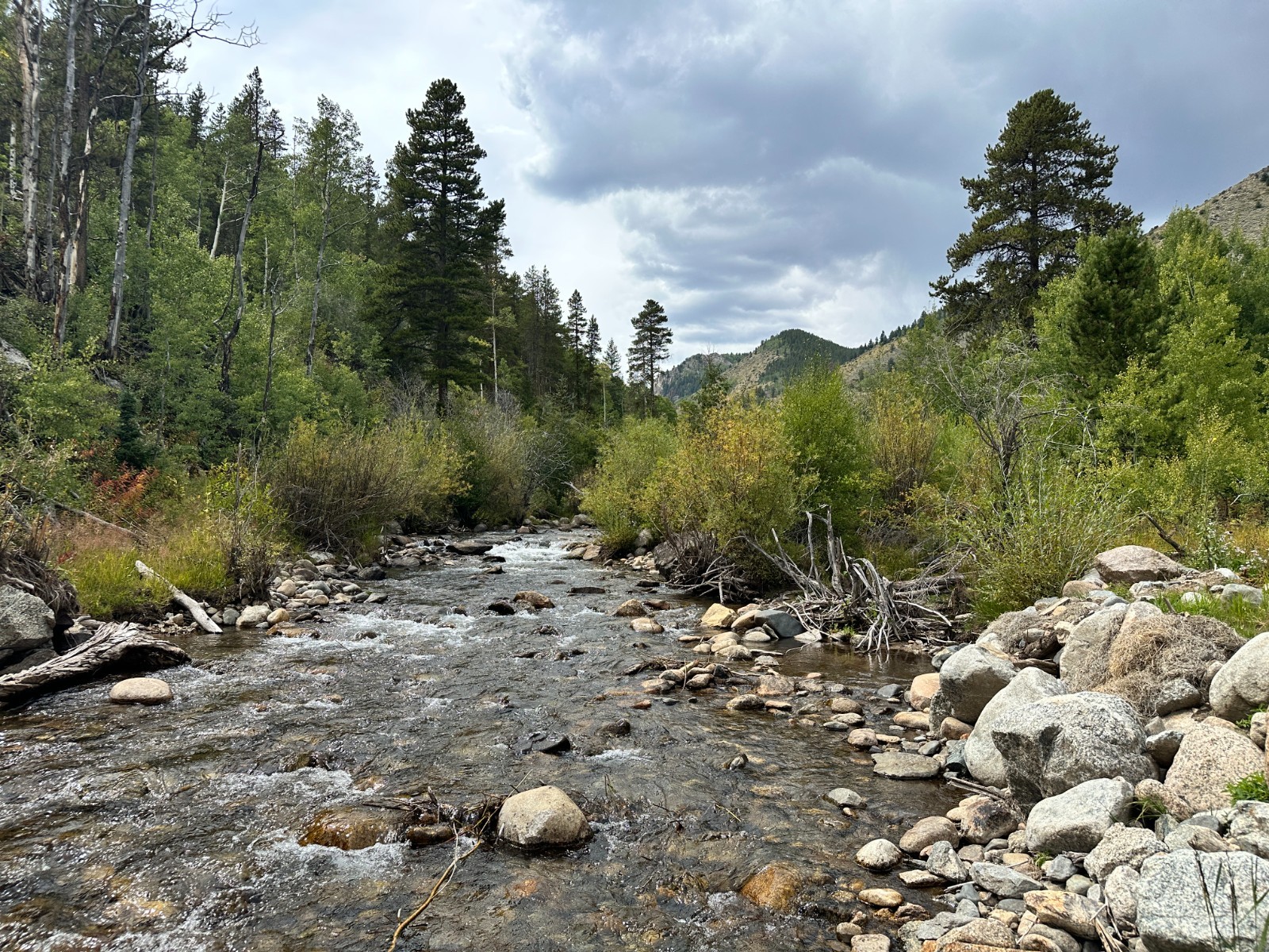 20 Acre Unpatented Mining Claim S. Arkansas River Chaffee County Colorado GOLD !