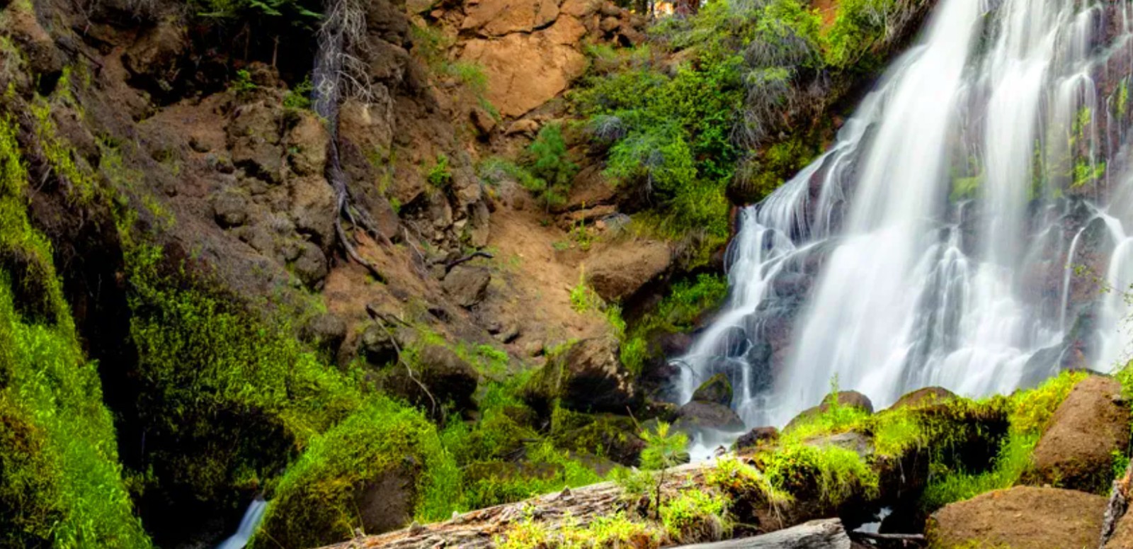 ???? Unleash Your Wild Side: 10,185 Sq. Ft. Modoc County Land! (NO RESERVE)