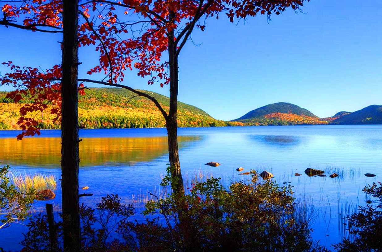 ???? FINAL CALL: Own the “Beautiful Life” on Eagle Lake Shore!