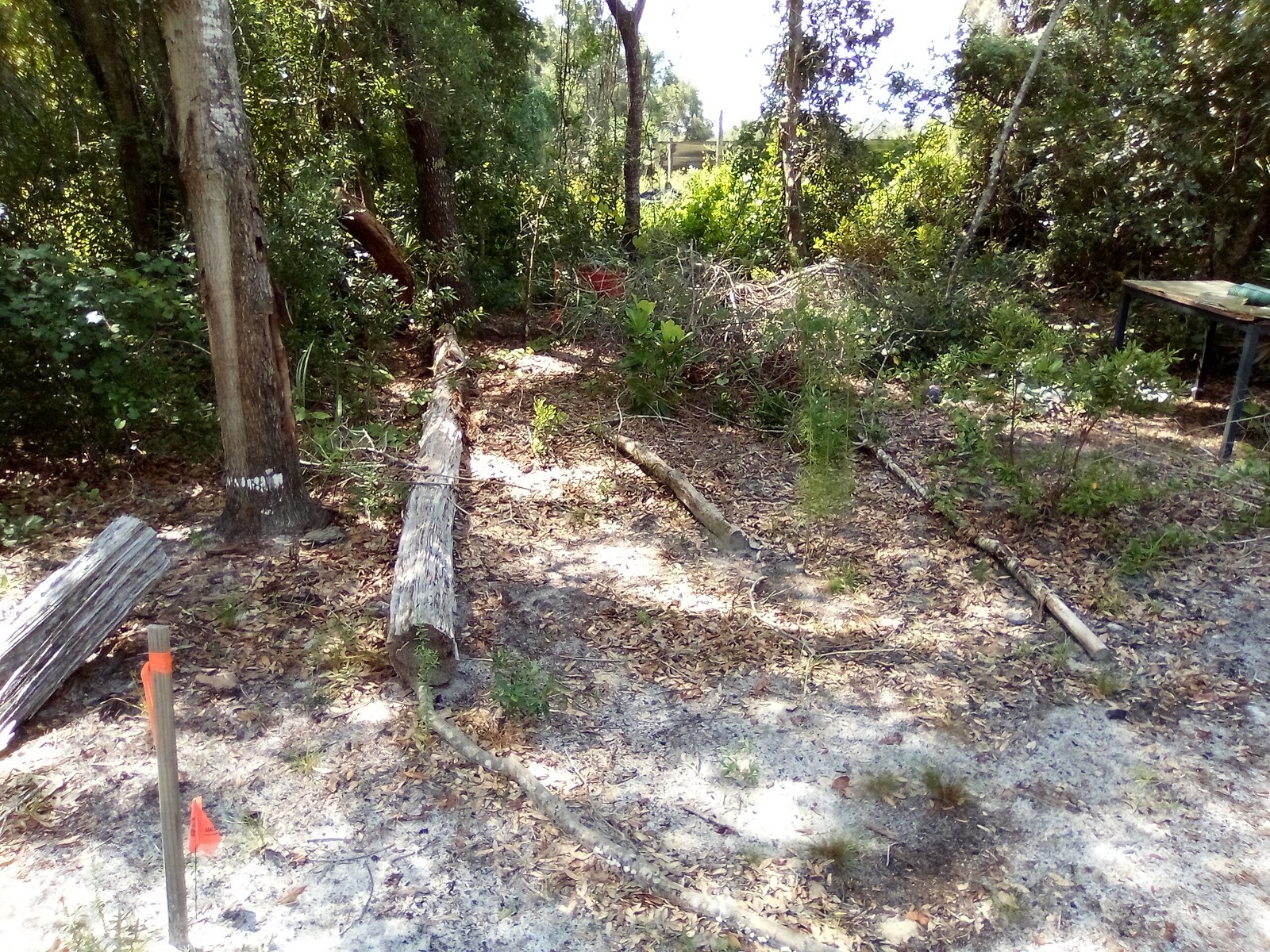 Rare Deeded FLORIDA LAND!  Cave Lake Rd. DeLeon Springs FL Camping Allowed!